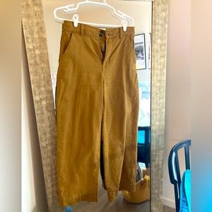 Everlane khaki high waist chino